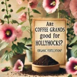 Featured image of an article having title Are Coffee Grounds Good for Hollyhocks