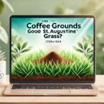 Featured image of an article having title Are Coffee Grounds Good for St. Augustine Grass